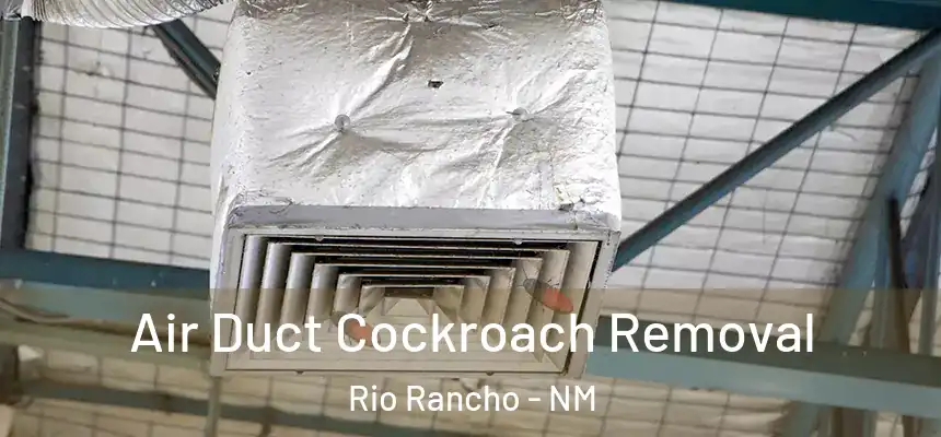 Air Duct Cockroach Removal Rio Rancho - NM