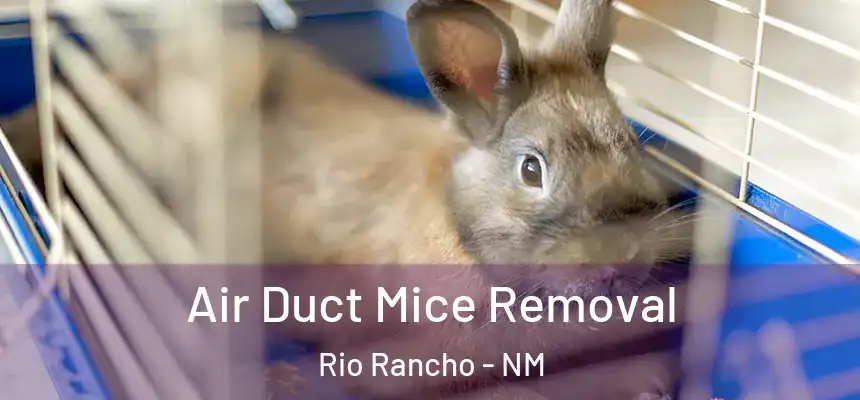Air Duct Mice Removal Rio Rancho - NM