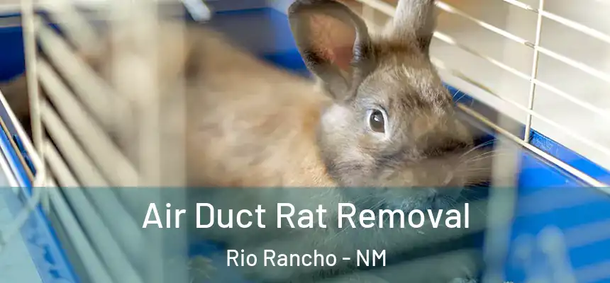 Air Duct Rat Removal Rio Rancho - NM