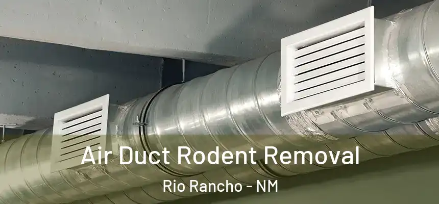  Air Duct Rodent Removal Rio Rancho - NM