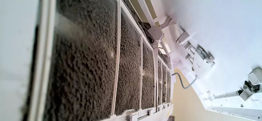 Preventive Air Duct Bacteria Removal in Rio Rancho