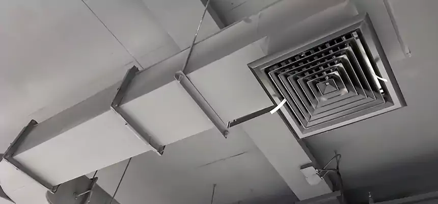 Restorative Allergy Relief Vent Cleaning – Coil, Blower & Housing Detail in Rio Rancho