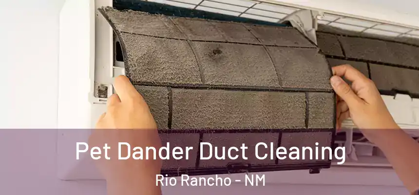 Pet Dander Duct Cleaning Rio Rancho - NM