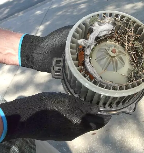 About Air Duct Mice Removal in Rio Rancho, NM