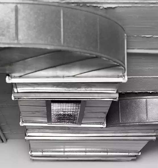 Professional Air Duct Pet Hair Removal in Rio Rancho, NM