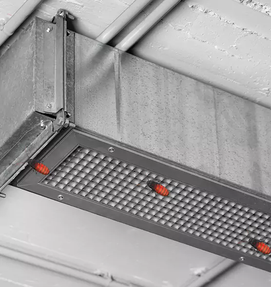 Affordable Insect Removal from Air Ducts in Rio Rancho, NM