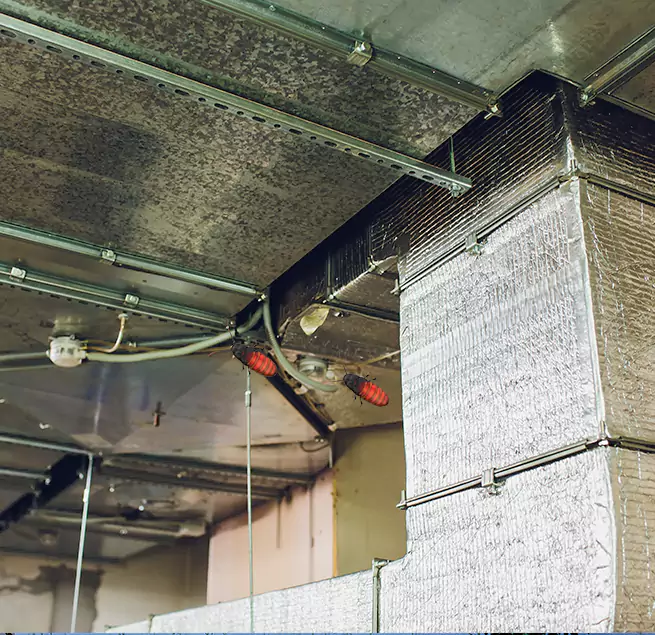 Why Homeowners & Businesses Trust Us in Rio Rancho, NM?