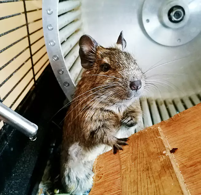 Why Homeowners & Businesses Trust Us Rio Rancho, NM