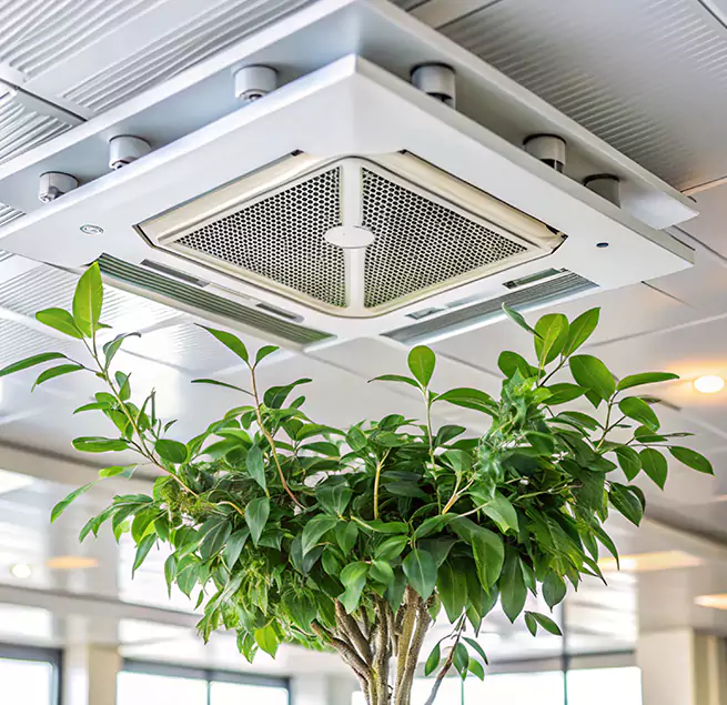 Why Homeowners & Businesses Trust Us in Rio Rancho, NM?